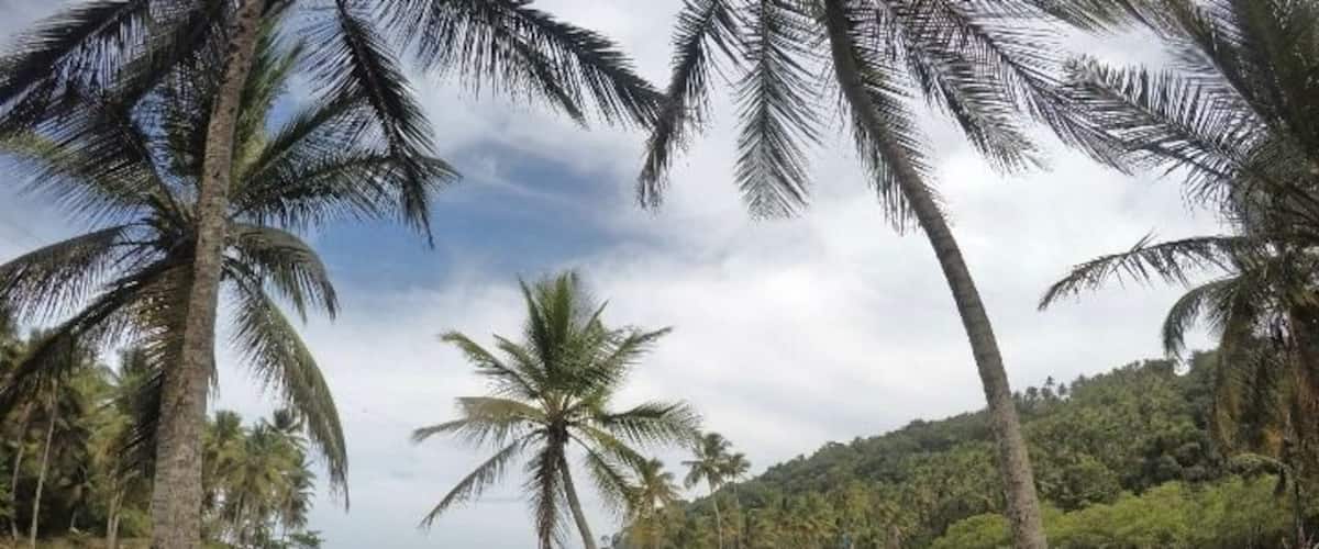 Hike that starts with a waterfall, jungle and mangroves, and of course, the beach
