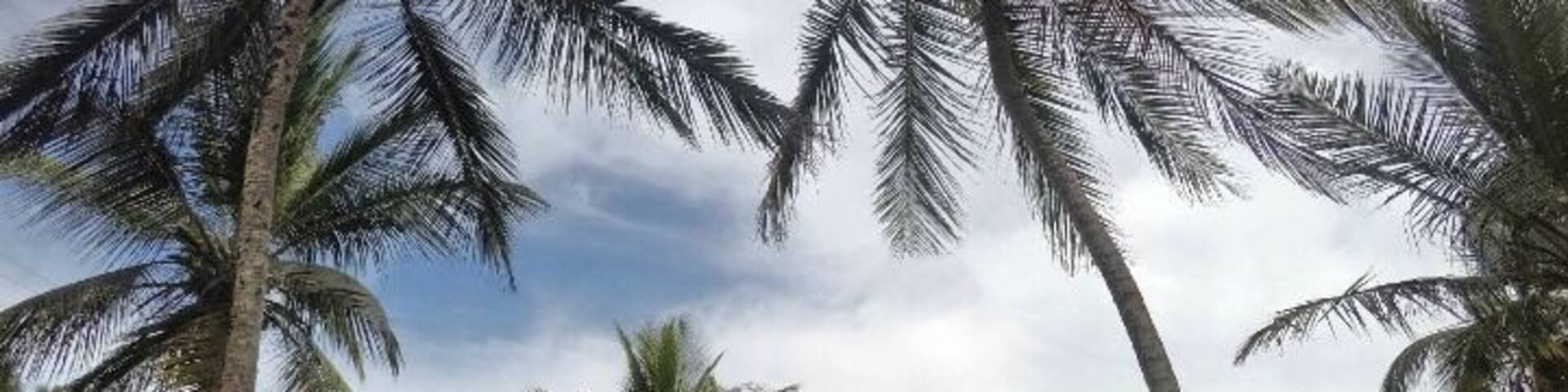 Hike that starts with a waterfall, jungle and mangroves, and of course, the beach