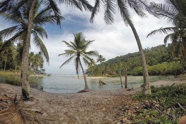 Hike that starts with a waterfall, jungle and mangroves, and of course, the beach