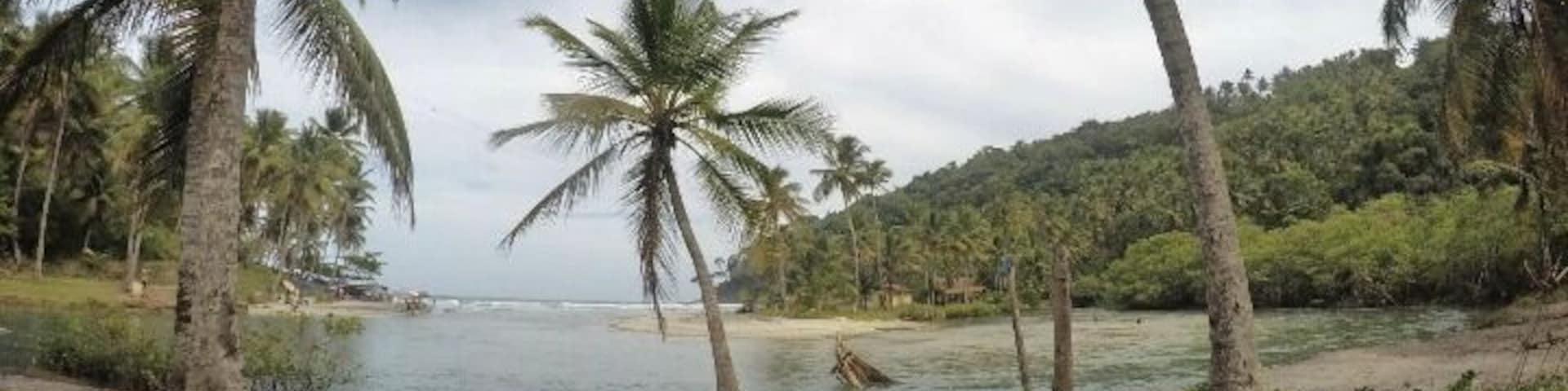 Hike that starts with a waterfall, jungle and mangroves, and of course, the beach