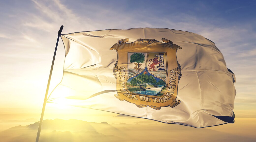 Coahuila state of Mexico flag waving on the top sunrise mist fog