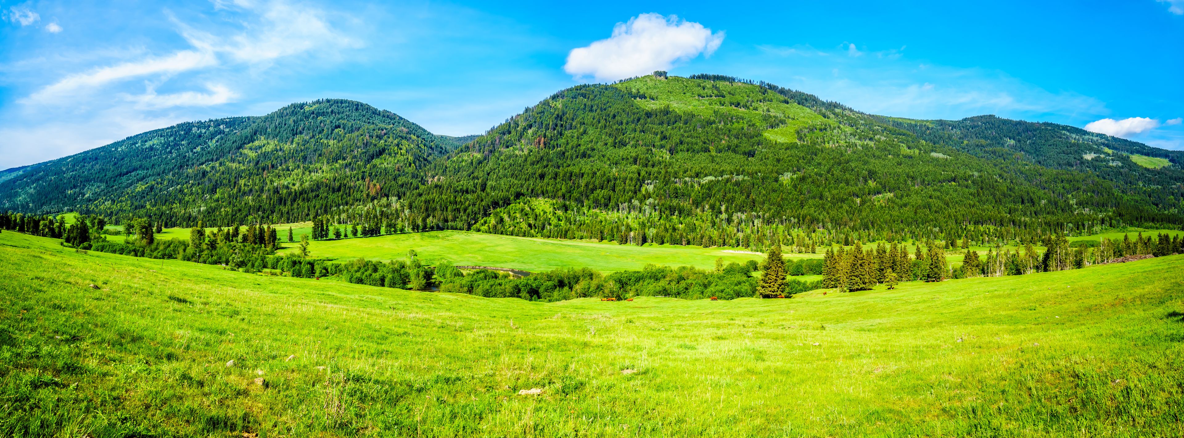 A lush green valley with rolling hills and dense forests.