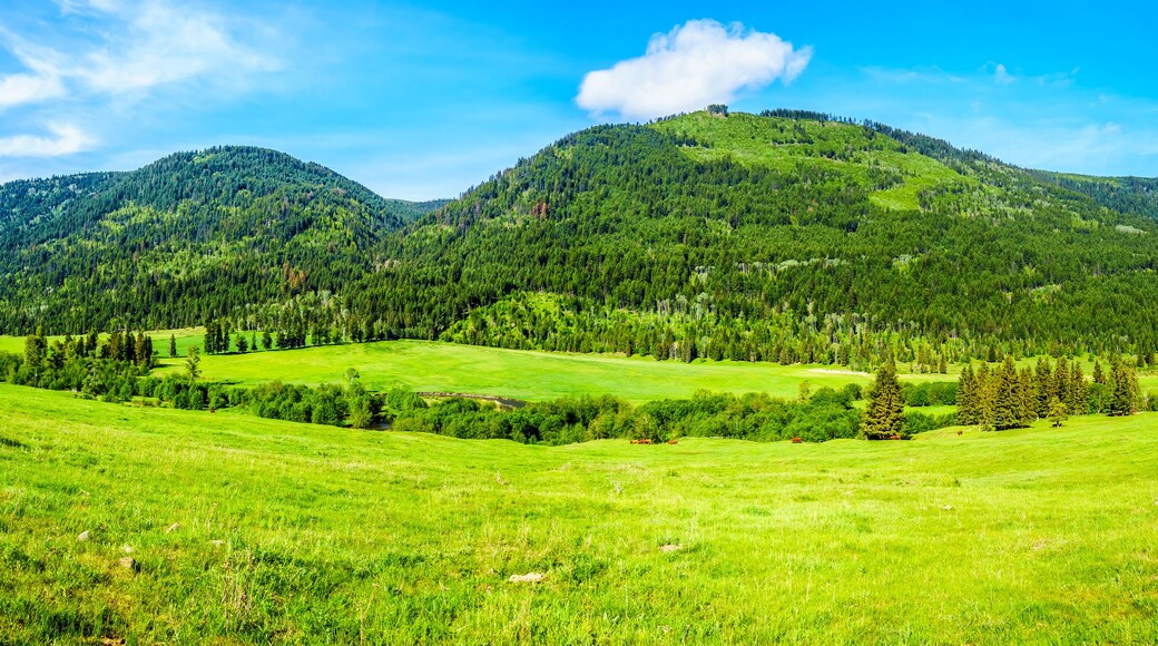 A lush green valley with rolling hills and dense forests.