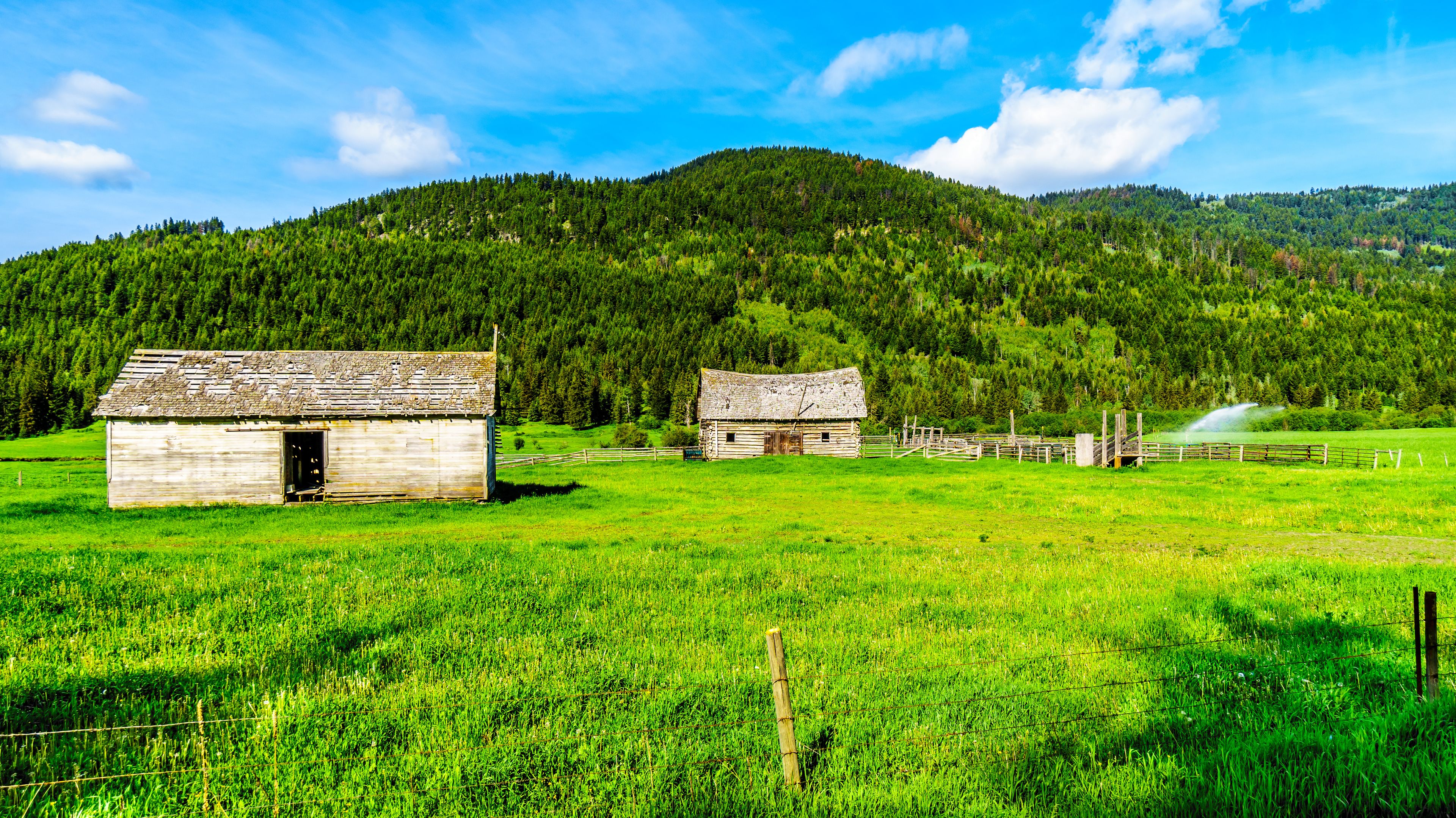 A rural landscape with two wooden barns, a grassy field, and a forested hill in the background.