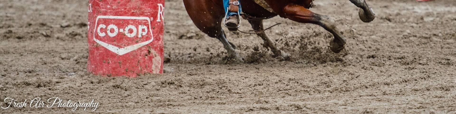 Barriere pro rodeo. My fav small rodeo complete with chariot racing!