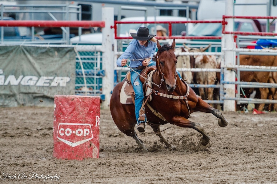 Barriere pro rodeo. My fav small rodeo complete with chariot racing!