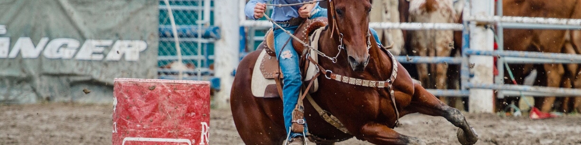 Barriere pro rodeo. My fav small rodeo complete with chariot racing!