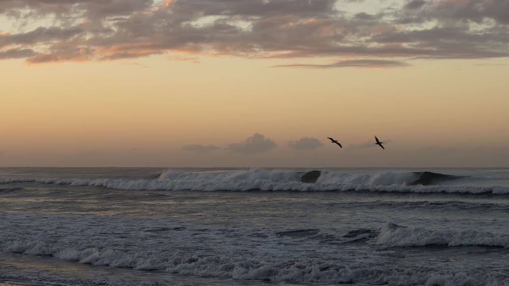Une plage avec des vagues et des oiseaux qui volent dans le ciel.