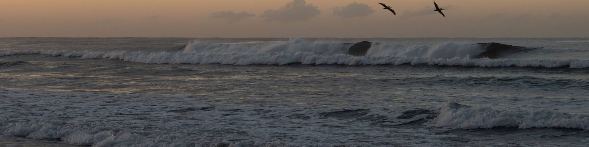 A beach with waves and birds flying in the sky.