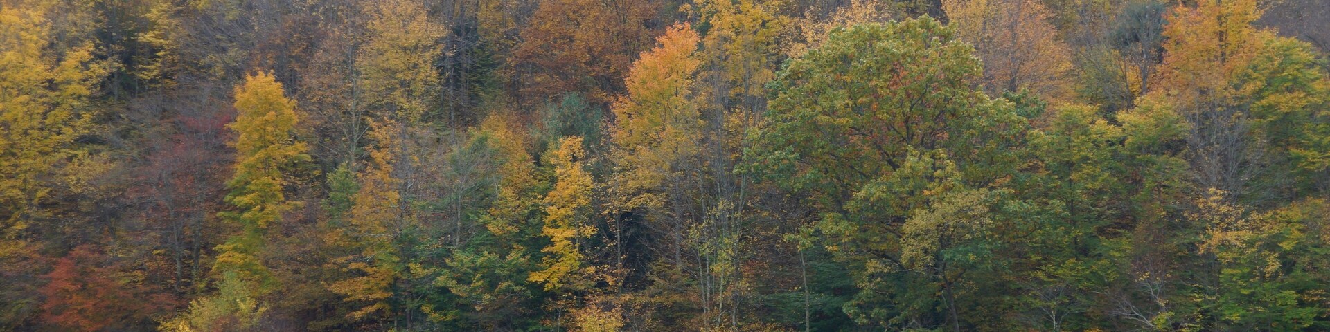Farm near Delhi New York in autumn