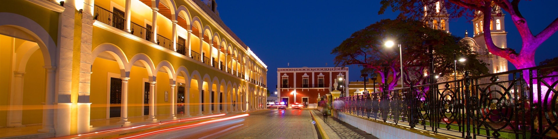 Campeche which includes a garden and night scenes