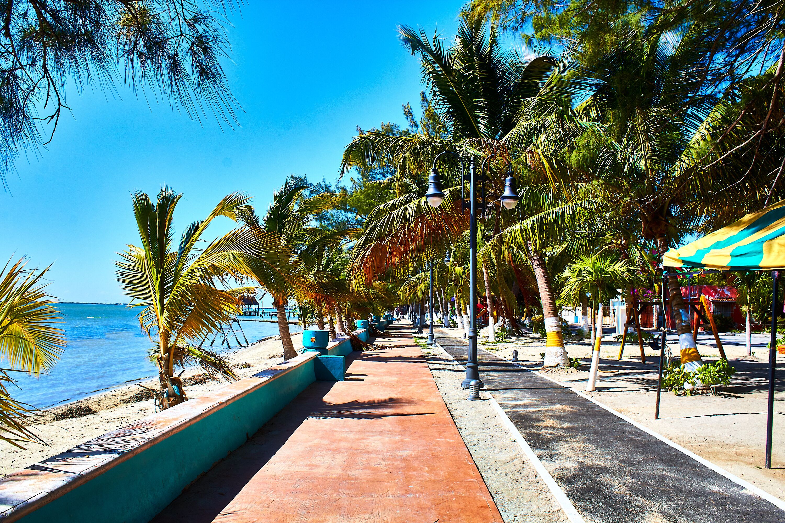 Un paseo marítimo bordeado de palmeras y farolas, que conduce a una playa.
