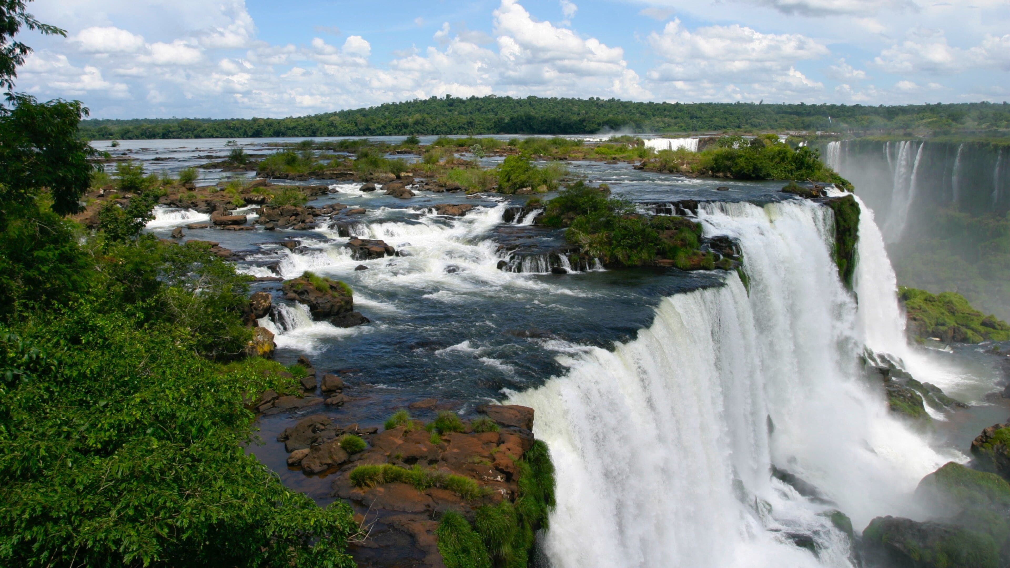 Paraná which includes rainforest, a waterfall and a river or creek