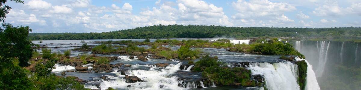 Paraná which includes rainforest, a waterfall and a river or creek
