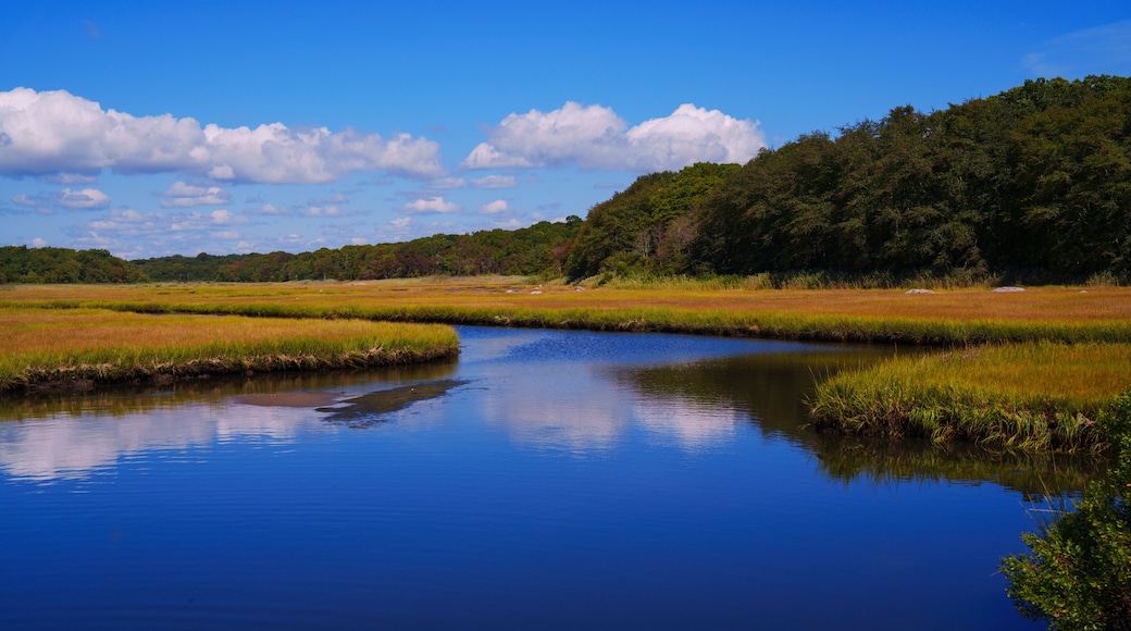 Autumn New England landscape at Barn Island Wildlife Coastal Conservation Area in Pawcatuck, Connecticut, with tidal wet marshlands and golden fields along the shoreline.
