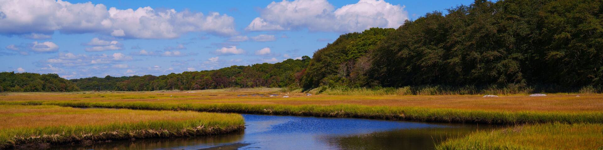 Autumn New England landscape at Barn Island Wildlife Coastal Conservation Area in Pawcatuck, Connecticut, with tidal wet marshlands and golden fields along the shoreline.