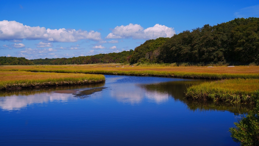 Autumn New England landscape at Barn Island Wildlife Coastal Conservation Area in Pawcatuck, Connecticut, with tidal wet marshlands and golden fields along the shoreline.