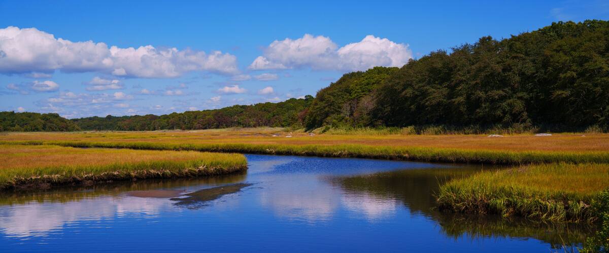 A calm river meandering through a landscape with grassy fields and dense forest.