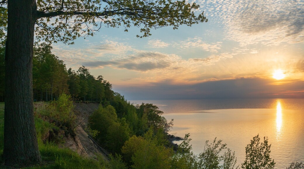 The Lake Erie CommunitThe Coastline of Lake Erie Community Parky Park