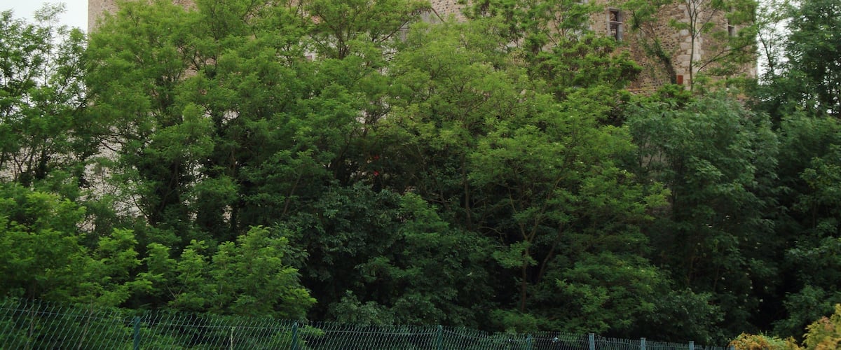 Montrond-les-Bains (Loire, Fr) château (ruine).