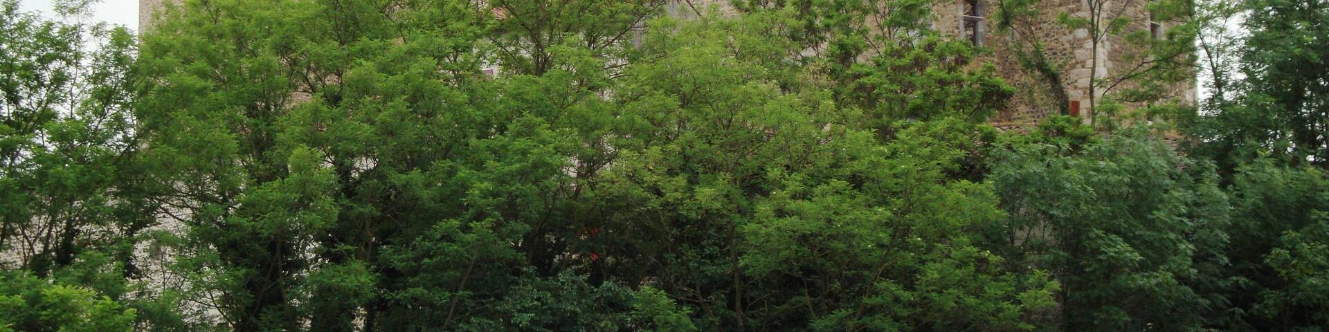 Montrond-les-Bains (Loire, Fr) château (ruine).