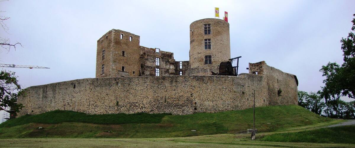 A historic stone castle with two towers and a flag on top, situated on a grassy hill.