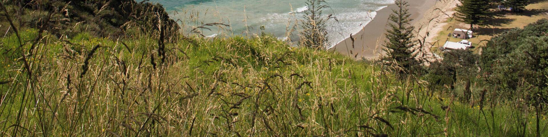 A beautiful beach in the north of the country.