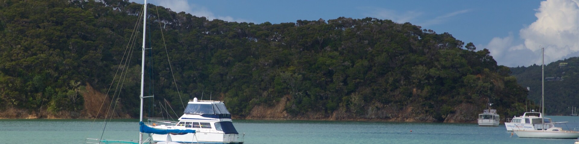 Una bahía tranquila con varios veleros anclados cerca de una colina arbolada.