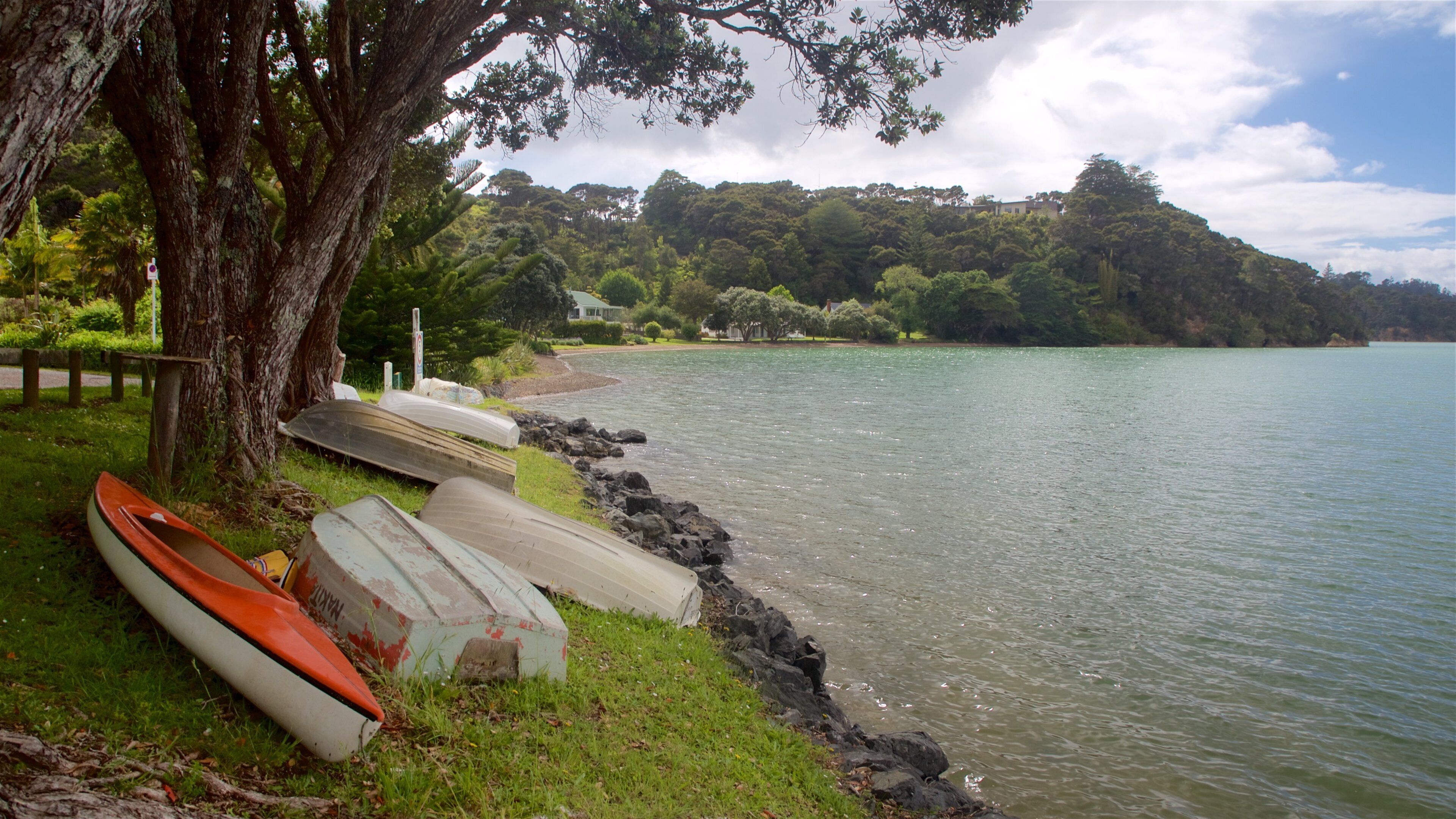 A lakeside with boats, a tree, and a rocky shoreline.