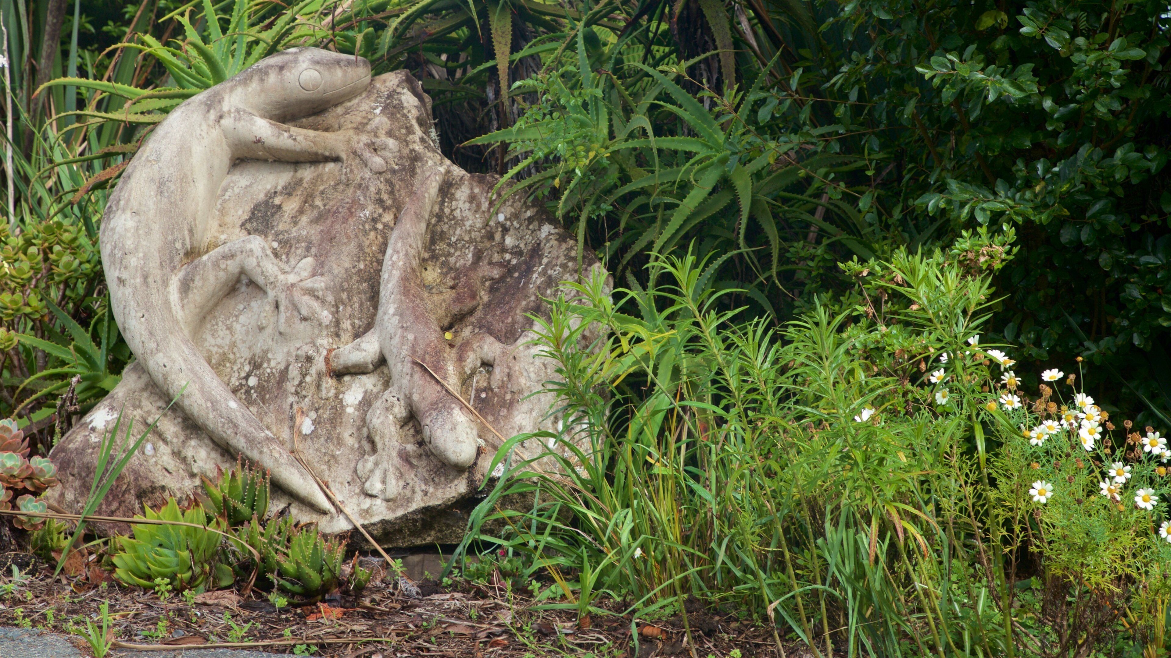 Okiato which includes wildflowers