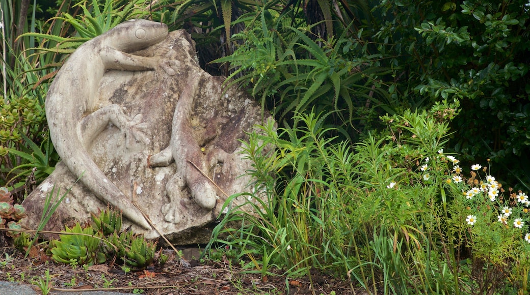 Okiato which includes wildflowers