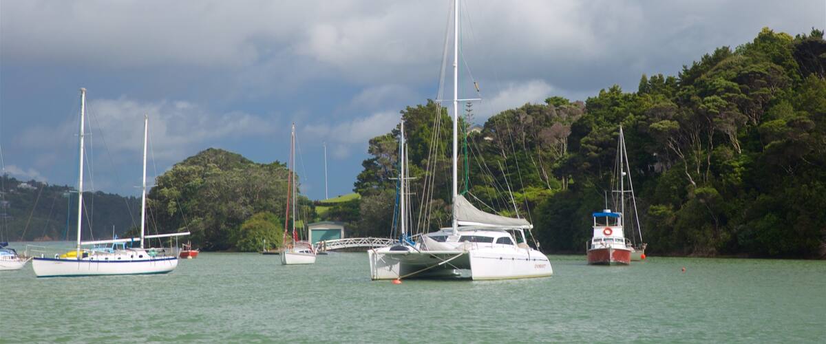 A marina with several sailboats docked near a forested coastline.