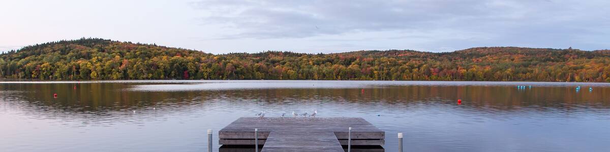 Gulls standing at the end of a wooden jetty seen at dawn during the Fall season, Delage Lake, Quebec, Canada
