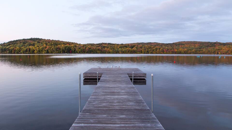 A wooden pier extending into a calm lake with a forested hill in the background.