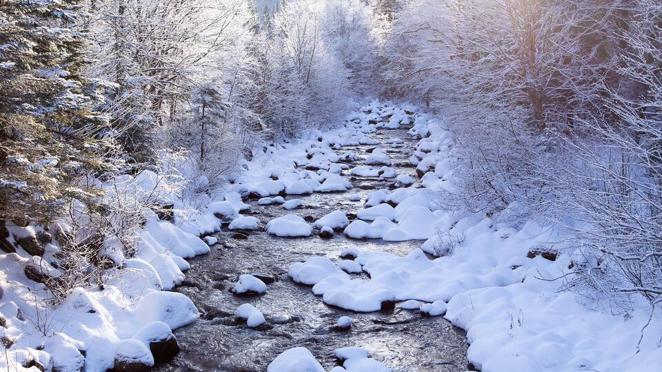 A snow-covered stream in a forest.
