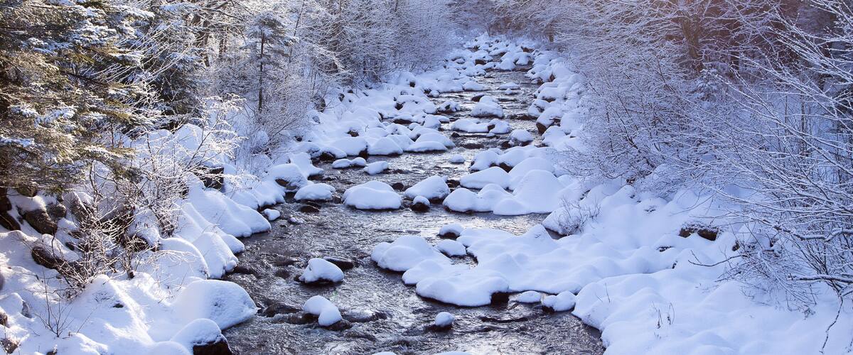 A snow-covered stream in a forest.