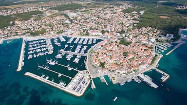 An aerial view of a coastal town with a marina, dense residential area, and surrounding greenery.