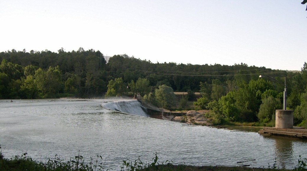 This is a a photo of a wetland in Catalonia, Spain, with id: