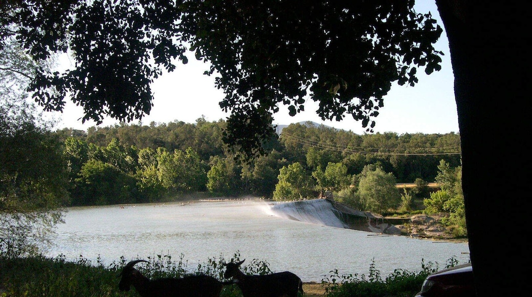 This is a a photo of a wetland in Catalonia, Spain, with id: