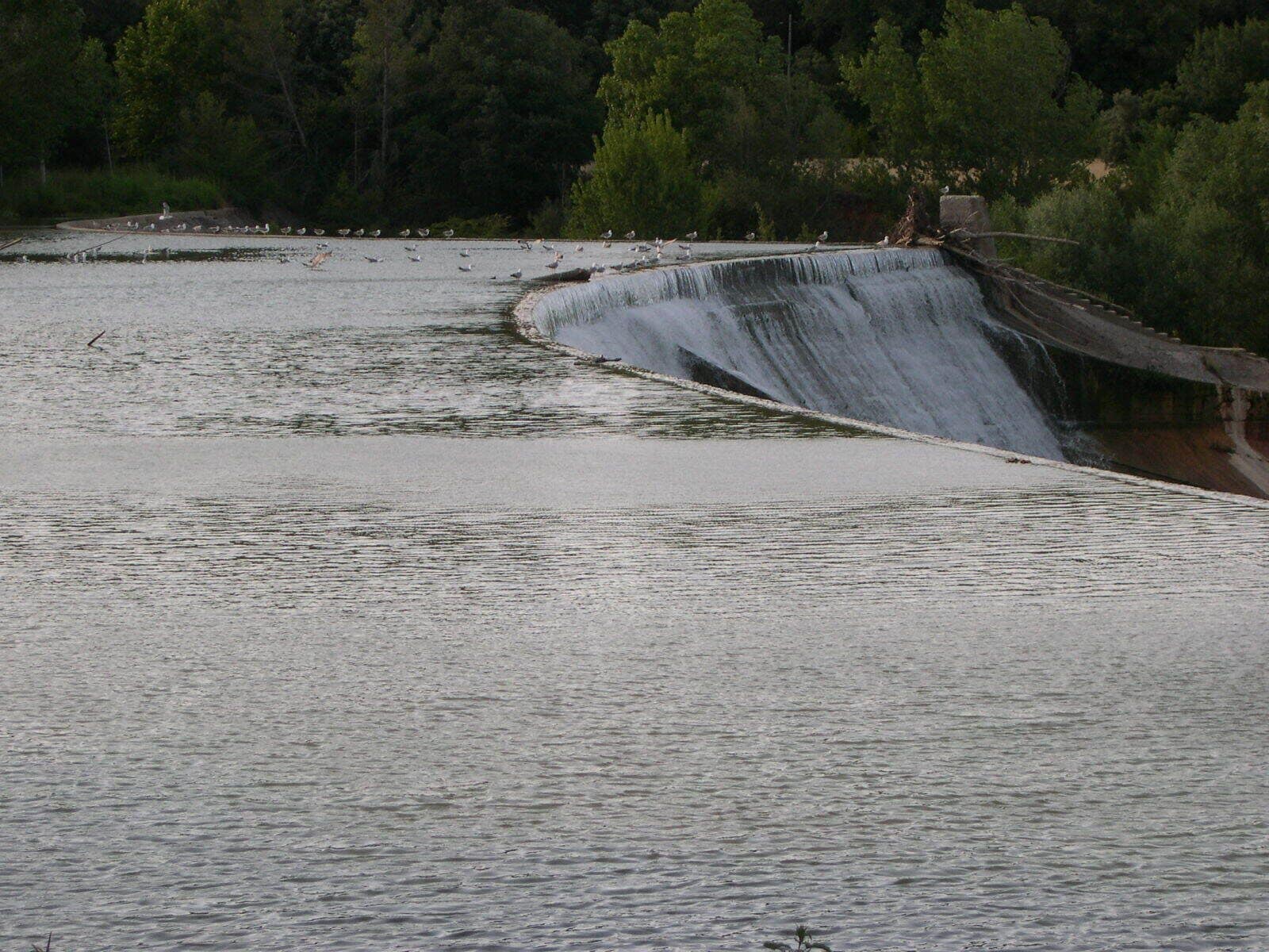 This is a a photo of a wetland in Catalonia, Spain, with id: