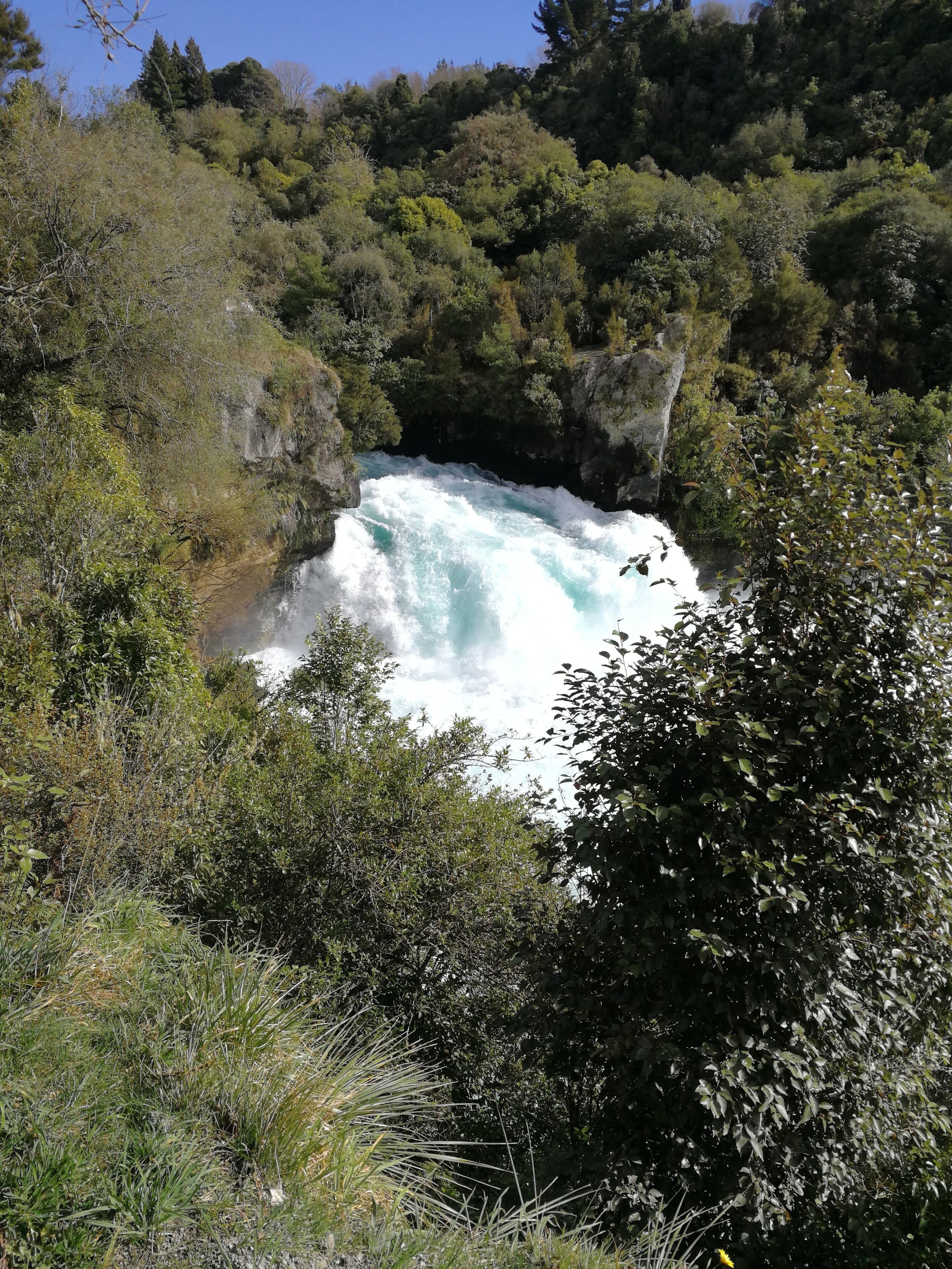 Beautiful Huka Falls. Walk up Spa Road, take a left at the Thermal Park. About 7km from town. Stop at the thermal stream on the way. 