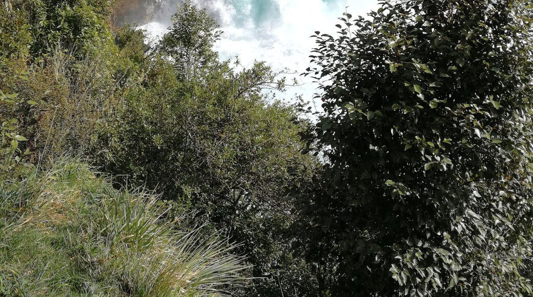 Beautiful Huka Falls. Walk up Spa Road, take a left at the Thermal Park. About 7km from town. Stop at the thermal stream on the way.