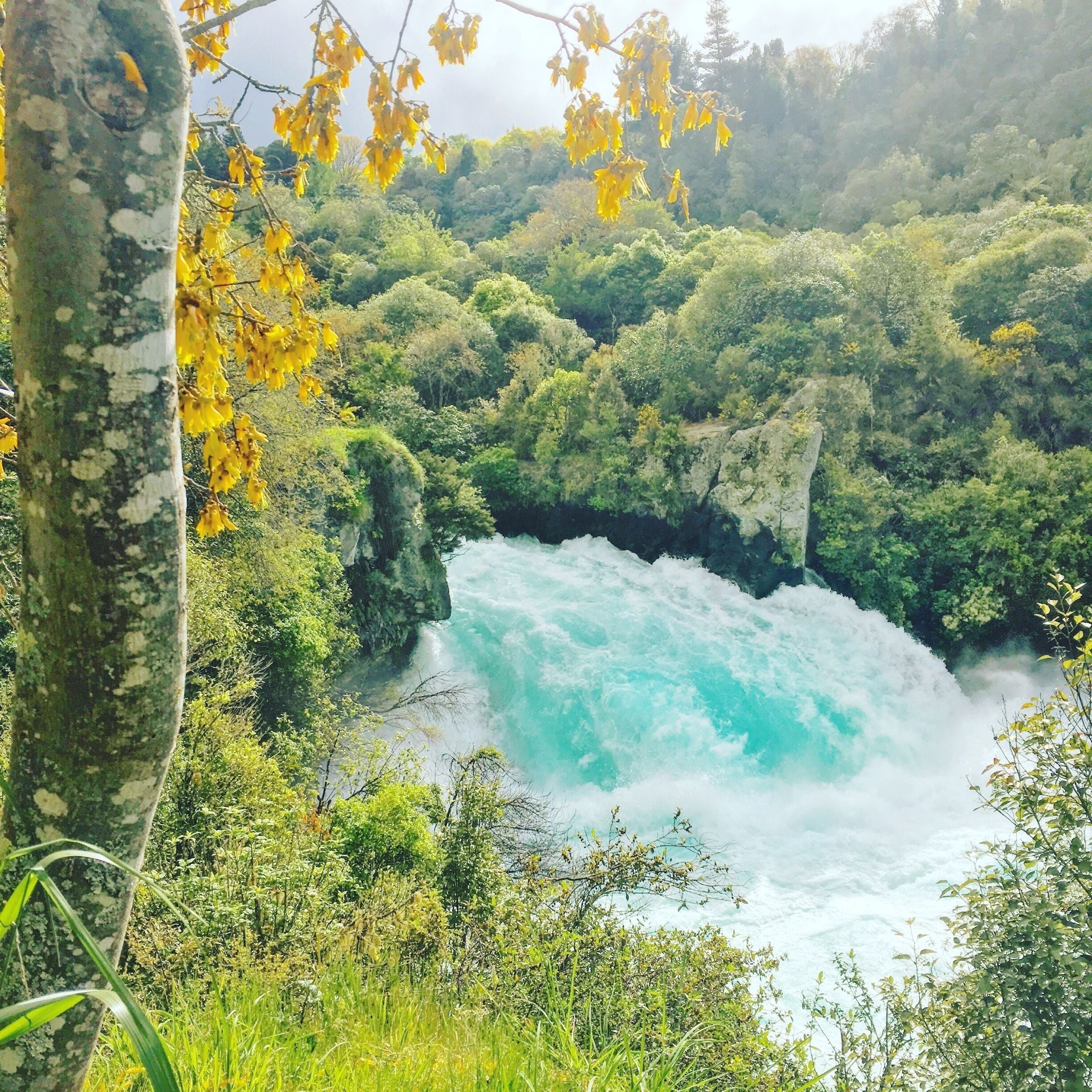 Lake Taupo was one of my favourite spots to visit on my two week solo camper van trip in 2016. Loved the waterfalls.... 