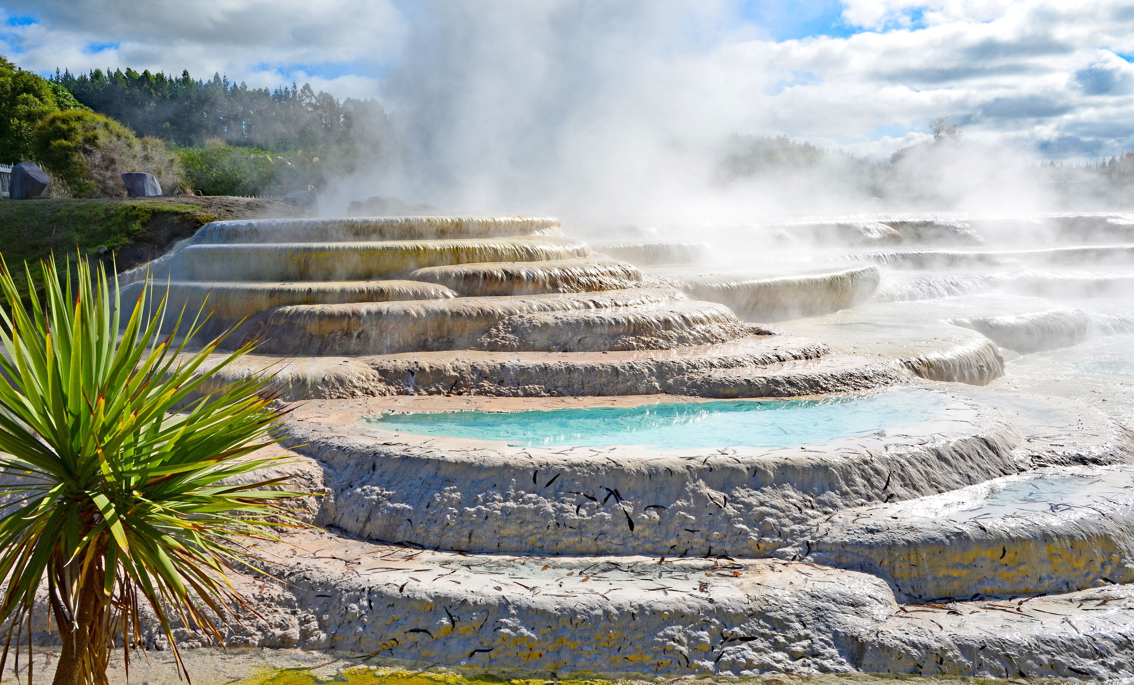 Terraced hot springs with a pool of clear water, surrounded by mineral deposits and steam rising from the ground.