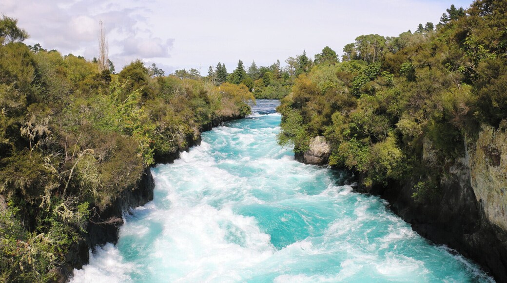 Massive fast flowing River in Taupo. There is a lovely river walk you can take and walk here from the centre of Taupo, approx 50mins walk, very steep at parts