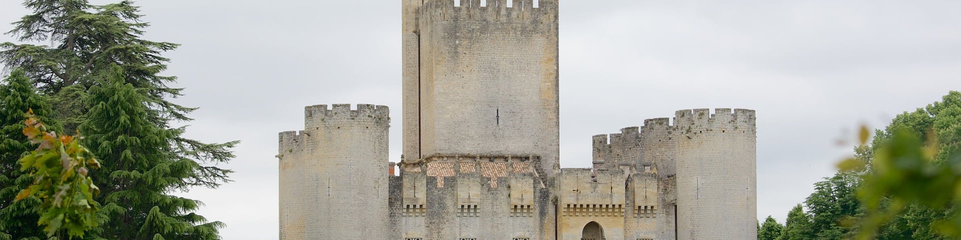 Bordeaux Wine Region featuring chateau or palace and tranquil scenes