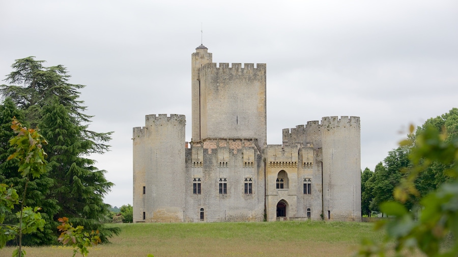 Bordeaux Wine Region featuring chateau or palace and tranquil scenes