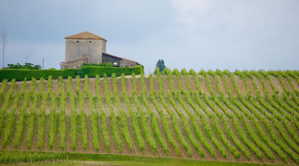 Región vinícola de Burdeos