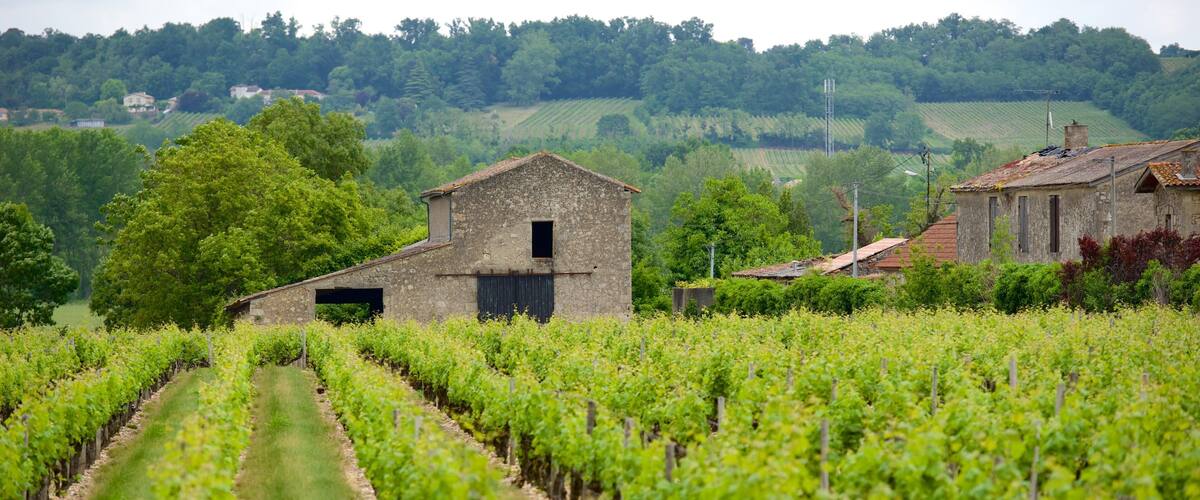 Bordeaux Wine Region which includes a small town or village