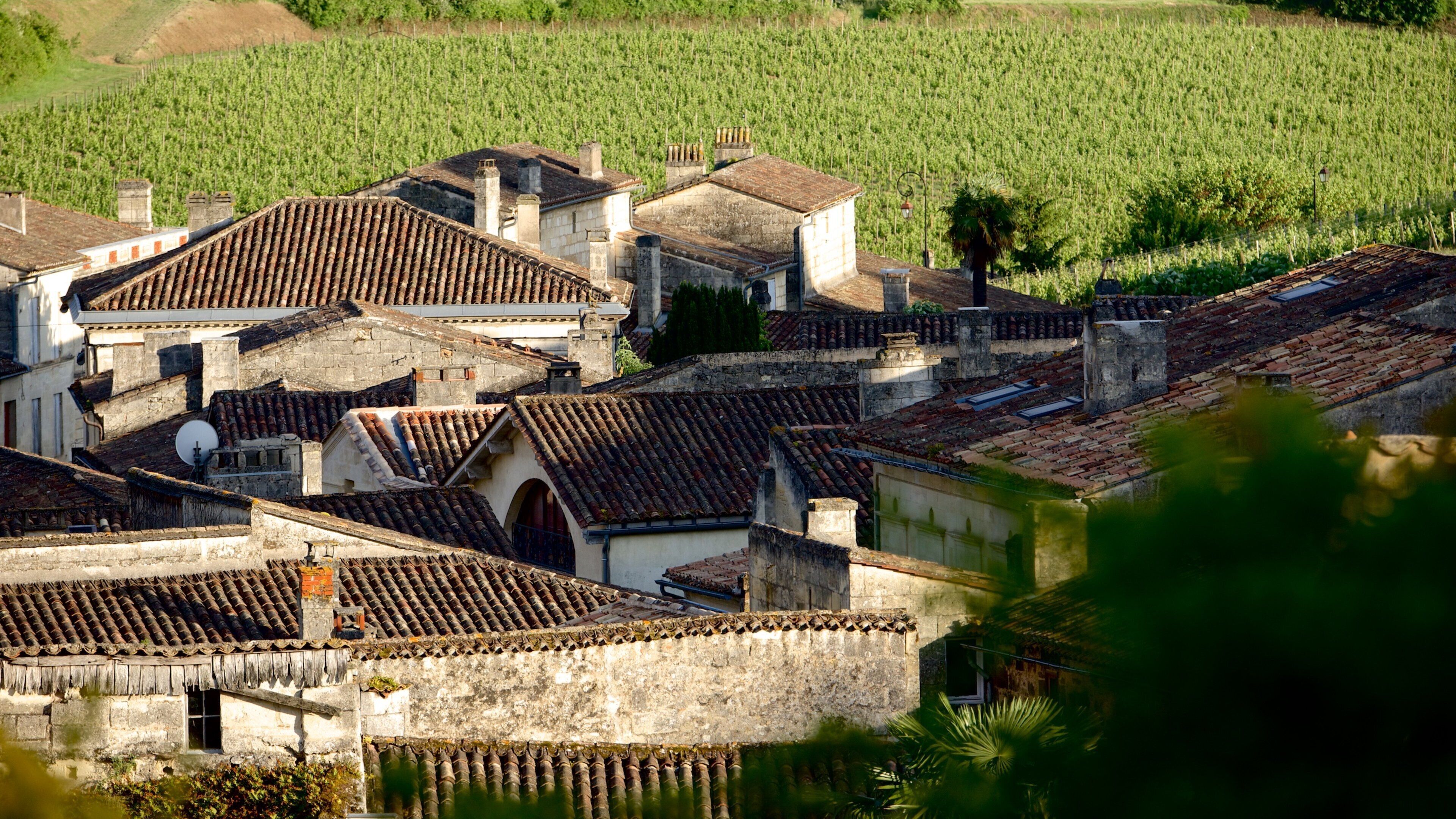 Región vinícola de Burdeos mostrando situaciones tranquilas y un pueblo